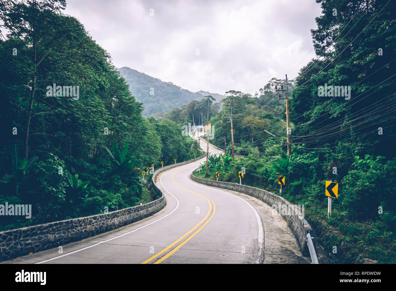 Tropical jungle. Dirt road in the jungle. Thailand, Southeast Asia. Tropical rainforest. Banana palm trees. Landscape view. Stock Photo