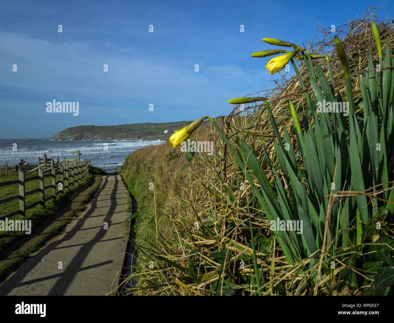 beautiful scenic footpath leading to Croyde beach in North Devon , England Stock Photo