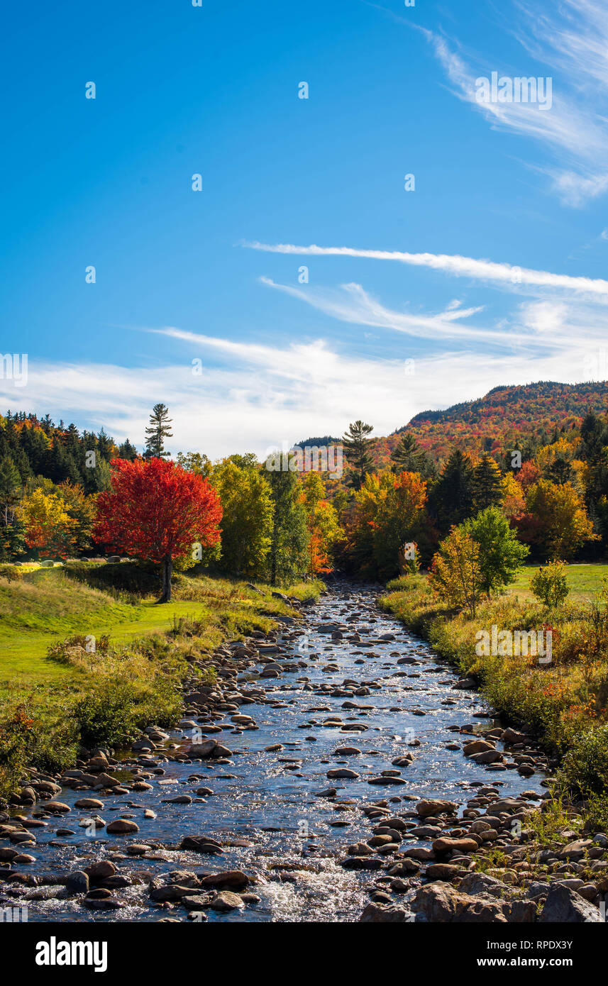 New hampshire fall hiking trail hi-res stock photography and images - Alamy
