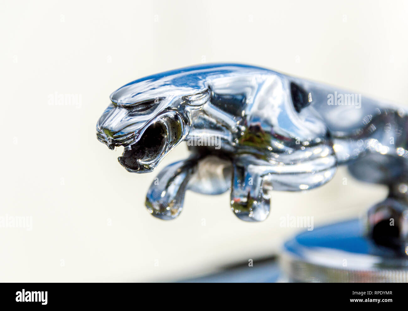 Chrome jaguar hi-res stock photography and images - Alamy