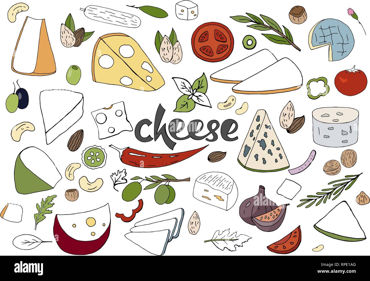 Hand drawn vector set with different types of cheeses, spices and nuts i Stock Vector
