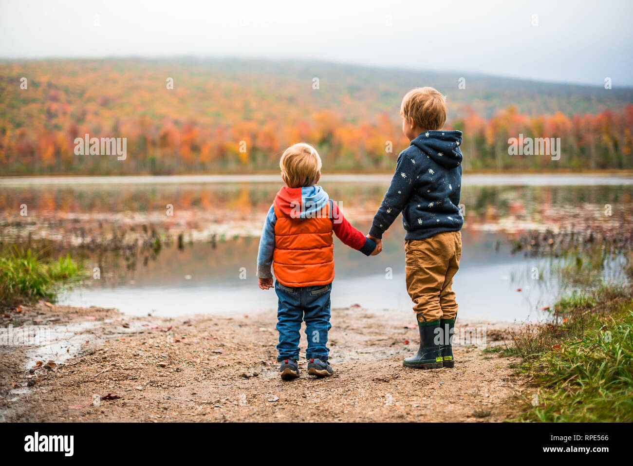 Brothers holding hands at a campsite located in the White Mountains Elbow Pond, NH during Fall Stock Photo