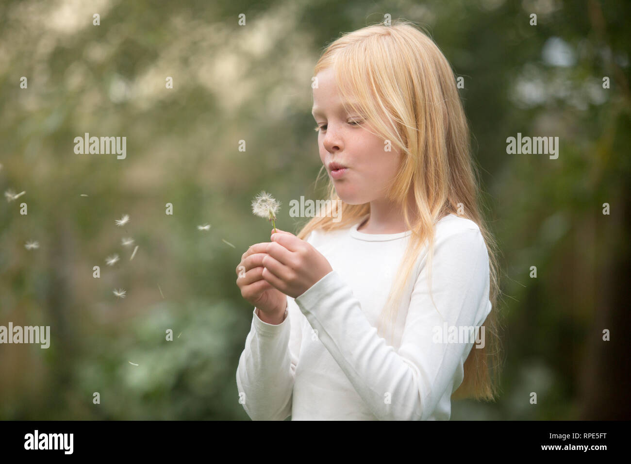 A happy child blows a dandelion in a garden Stock Photo