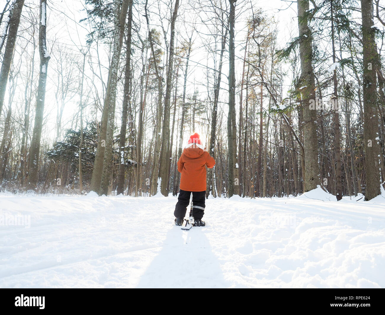 Young boy in orange and black wear on a snow kicker in forest without leaves at winter in Norway Stock Photo
