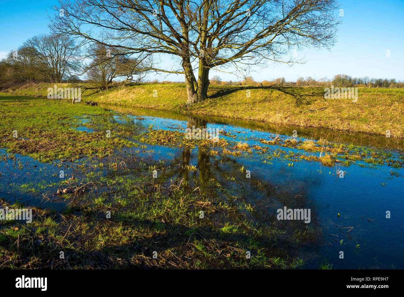 Flooded meadow linking Houghton and Hemingford Abbots villages, Cambridgeshire, England, UK. Stock Photo