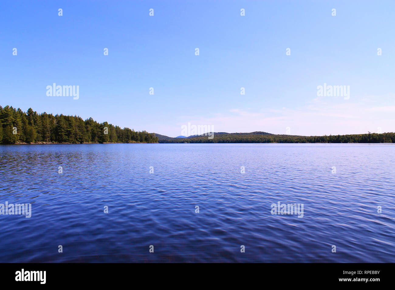 Blue water lake on a sunny day in the Adirondacks Stock Photo Alamy