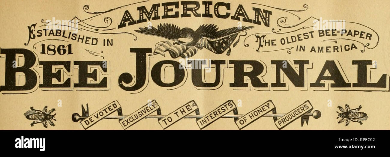 . American bee journal. Bee culture; Bees. PUBLISHED EVERY WEEK AT $1.00 PER ANNUM.. 35tli Year. CHICAG-O, ILL., APRIL 11, 1895. No. 15. Coi;)tributcd /Krticlcs^ On Lm-portaiit A-piarian Subjects. Handy Arrangement for Weighing Hives. BY L. G. CASH. I will give my method of weighing hives to ascertain in- crease of honey or amount of winter stores in the hive. &quot;^ : Take four common screw-eyes (I use No. 108), and screw one in each corner of the bottom-board. Next take four stout I %. Please note that these images are extracted from scanned page images that may have been digitally enhanced Stock Photo