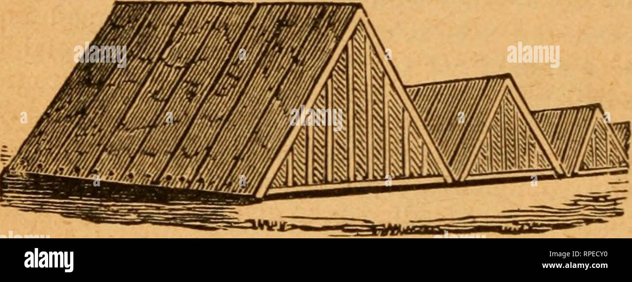 The American Farm And Stock Manual Agriculture Home Economics 210