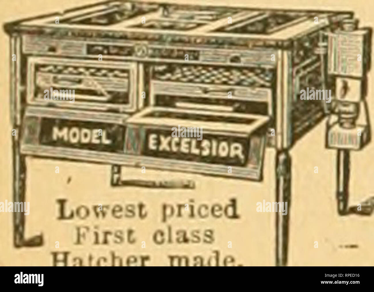 . American bee journal. Bee culture; Bees. HATCH CHICKENS BY STEAM WITH THE MODEL EXCELSIOR INCUBATOR. Thousands in Suc> ces-ilul Operation. SIMPLE, rEKFECT, and SELF-REGULA TING. a uaranteed to hatch a lareiT percrntatie of fertileeess. at IrHscost, 'th.in nny otherIncu'oatnr. Sendt;ifor lllus.Catalug, w c:ircular3 Free. ..114tma3S-filhSt..Qiilnfy.Tll.. GEO. n.STAII 24r,i;ii MentioJi the American Bee JoumnJ. E. Kretcliniei . Red Oak, » Iowa, Sends Free his Cat.alog-»e of 72 illustrated paces; describes EverjtliliiK Used in llie Apiary : Rest Goods at Lioivest Prices. Delivered to your Rai Stock Photo