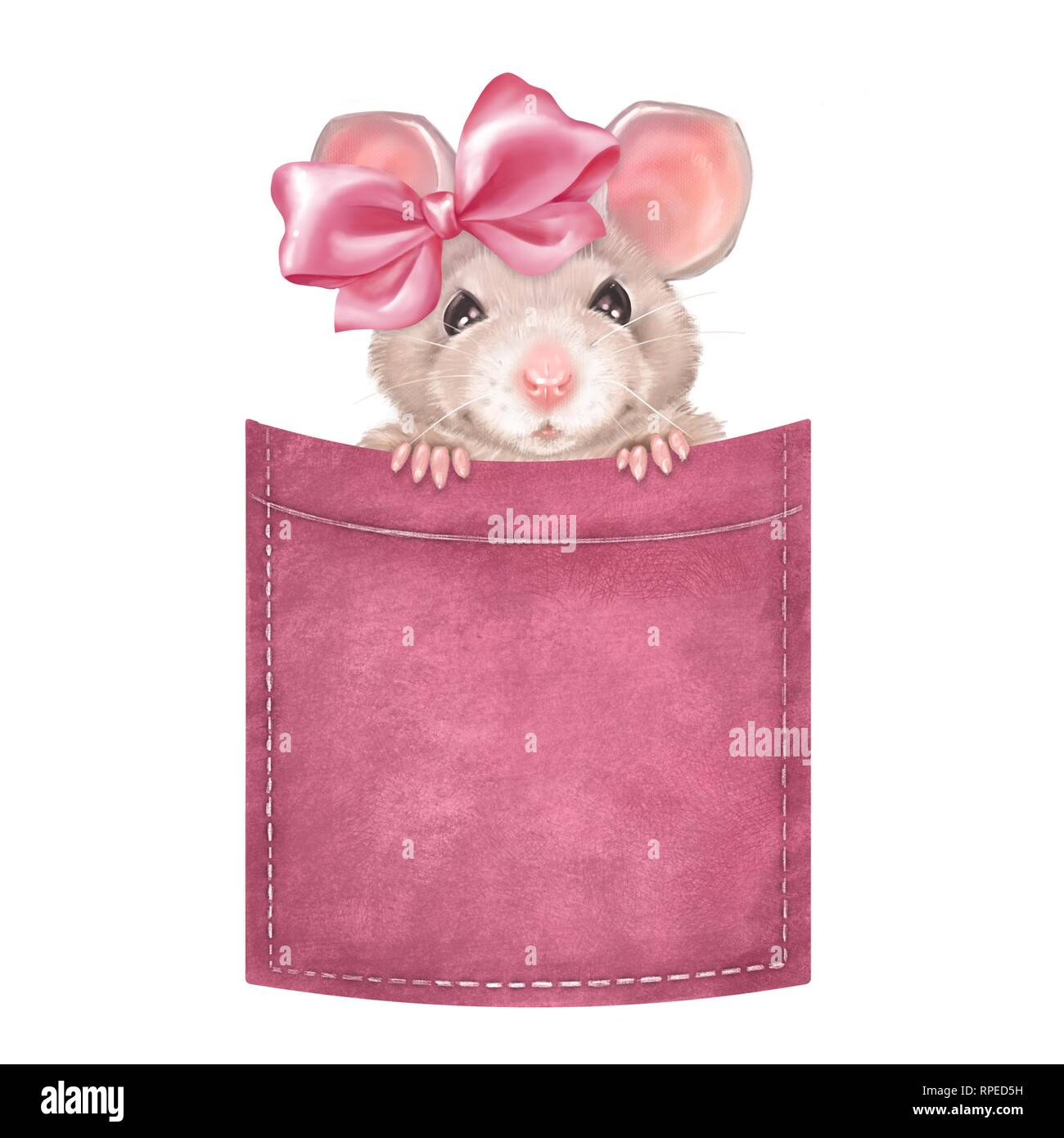 Cute mouse on pocket 2 Stock Photo