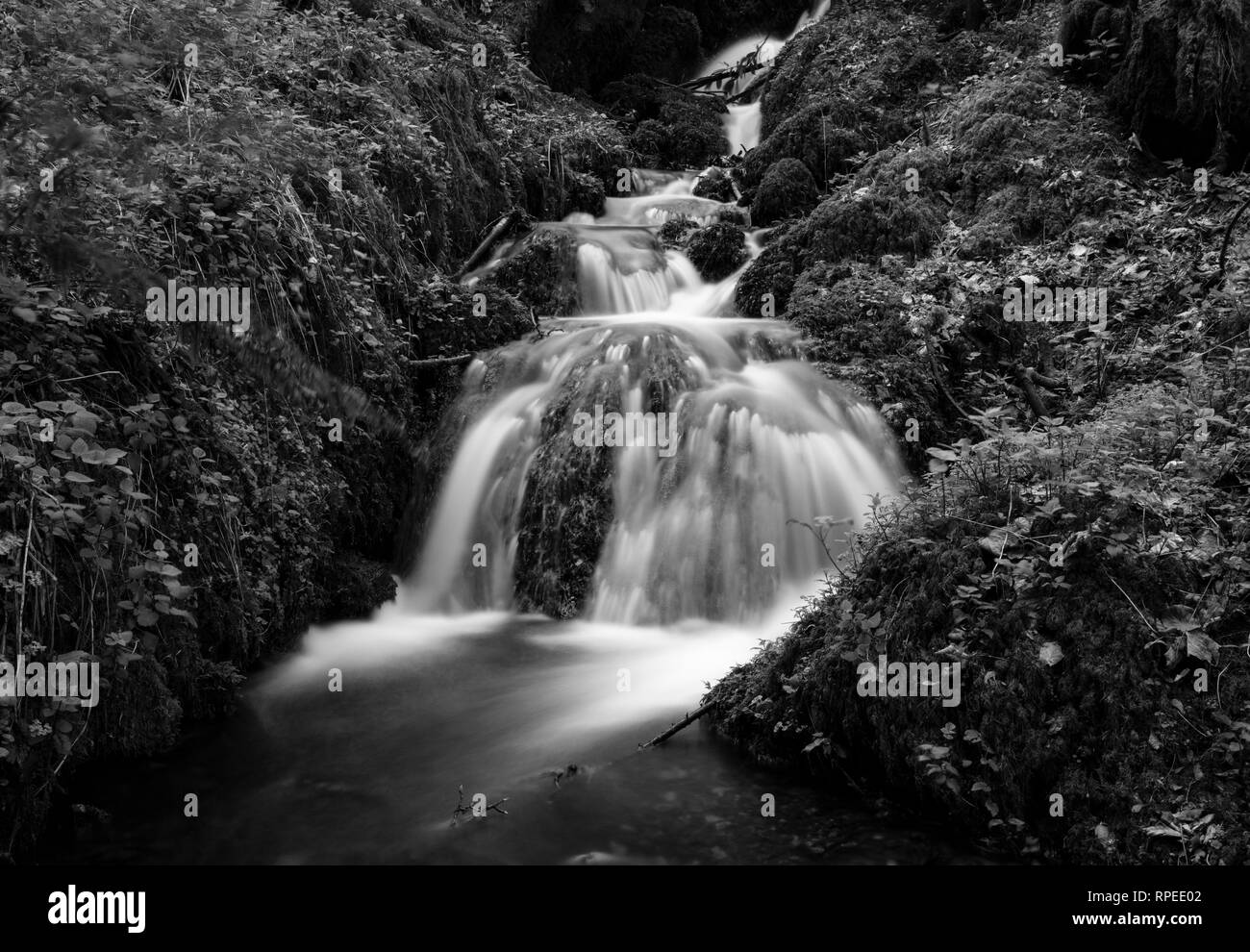 Canonteign Falls is a waterfall in Canonteign in the Teign Valley and Dartmoor National Park near Chudleigh, South Devon, England. Stock Photo
