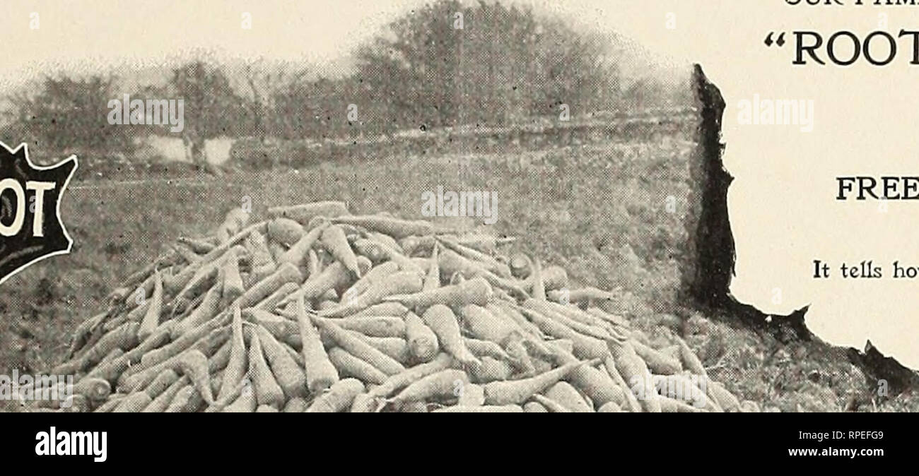 American Farmers Manual Vegetables Seeds Catalogs Farms Catalogs Grasses Seeds Catalogs Henderson S Rqqt Crops Superior American Farmers Manual Vegetables Seeds Catalogs Farms Catalogs Grasses Seeds Catalogs Henderson S Rqqt Crops Superior