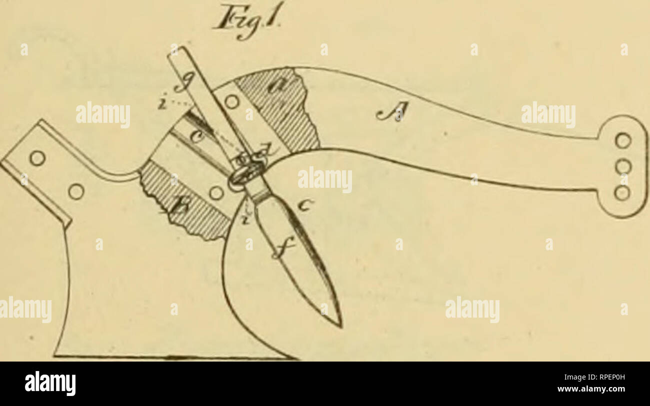 . Allen's digest of plows, with attachments, patented in the United States from A.D. 1789 to January 1883 ... Plows; Patents. tOVXAJ^ No. 169,678. r. t. J. H.-CtTLTER. COITER. Pilanted Not. 9, 1875, J. NEFP. Jr. SIOE-HILL PLOW. No.172.928. PHentod nil. 1. 1676.. ^Ez^S. Please note that these images are extracted from scanned page images that may have been digitally enhanced for readability - coloration and appearance of these illustrations may not perfectly resemble the original work.. Allen, James T. (James Titus). [Washington, D. C. , Joseph Bart, Printer Stock Photo