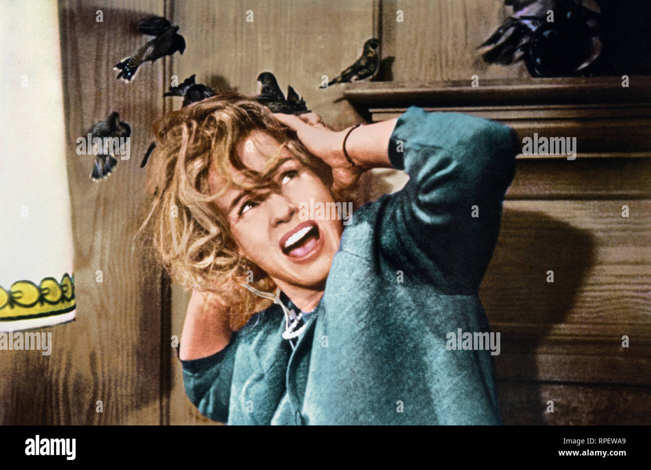 TIPPI HEDREN, THE BIRDS, 1963 Stock Photo