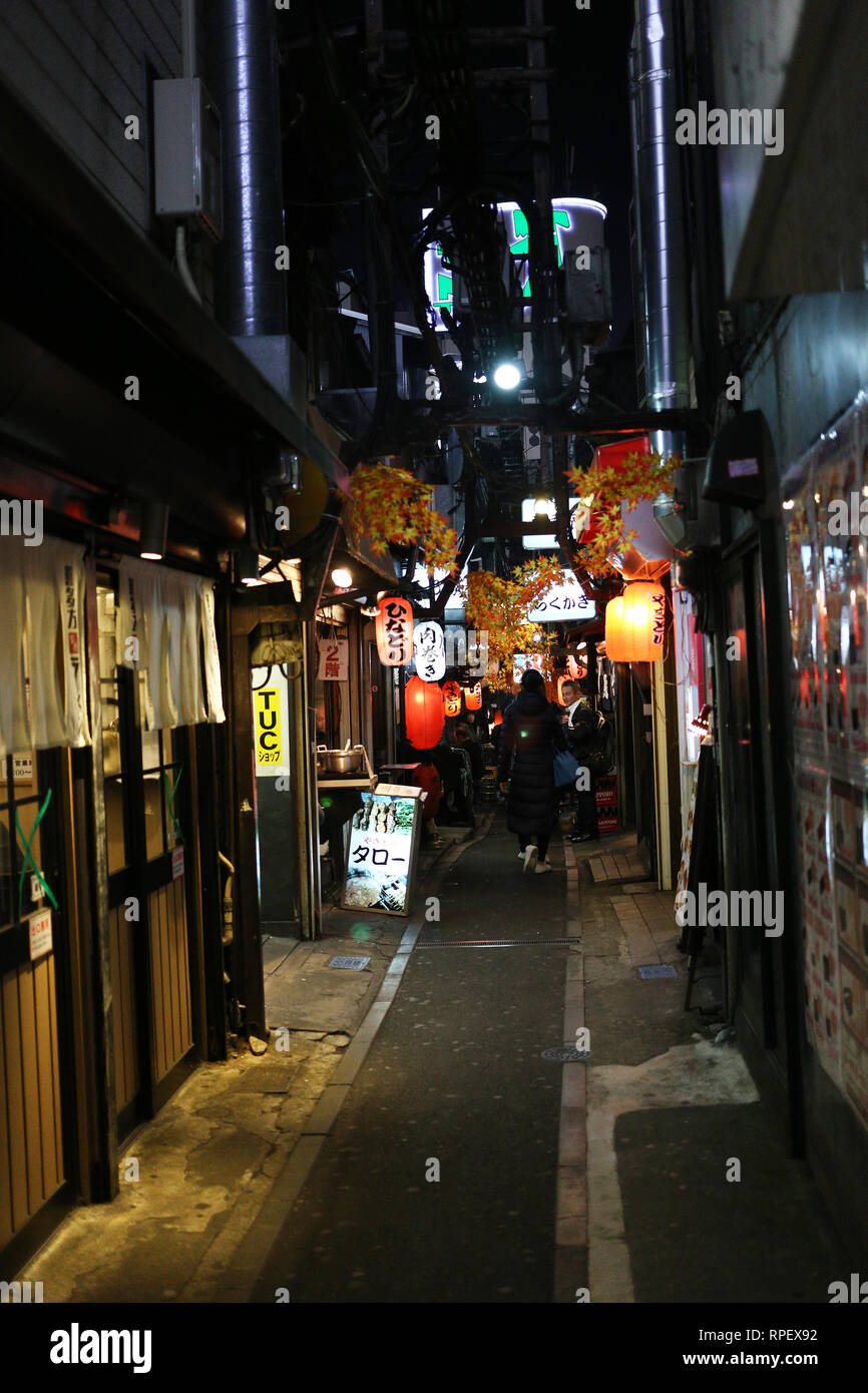 TOYKO, JAPAN - DECEMBER 05, 2016: Unidentified japanese japanese people walking the restaurants alley in the Shinjuku area in Toyko, Japan Stock Photo