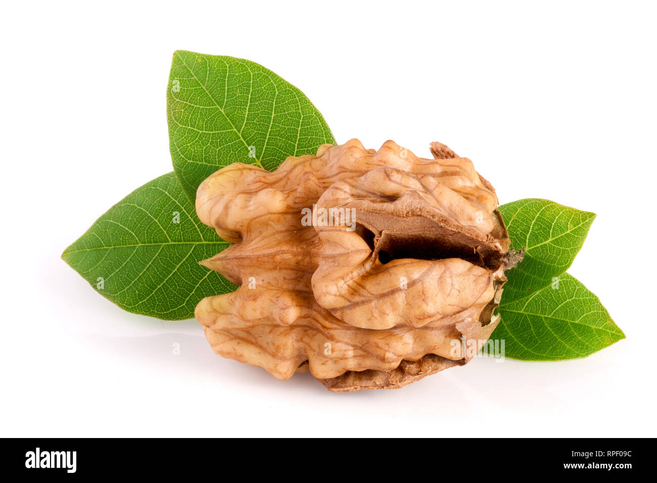 Walnut with leaf isolated on white background Stock Photo Alamy