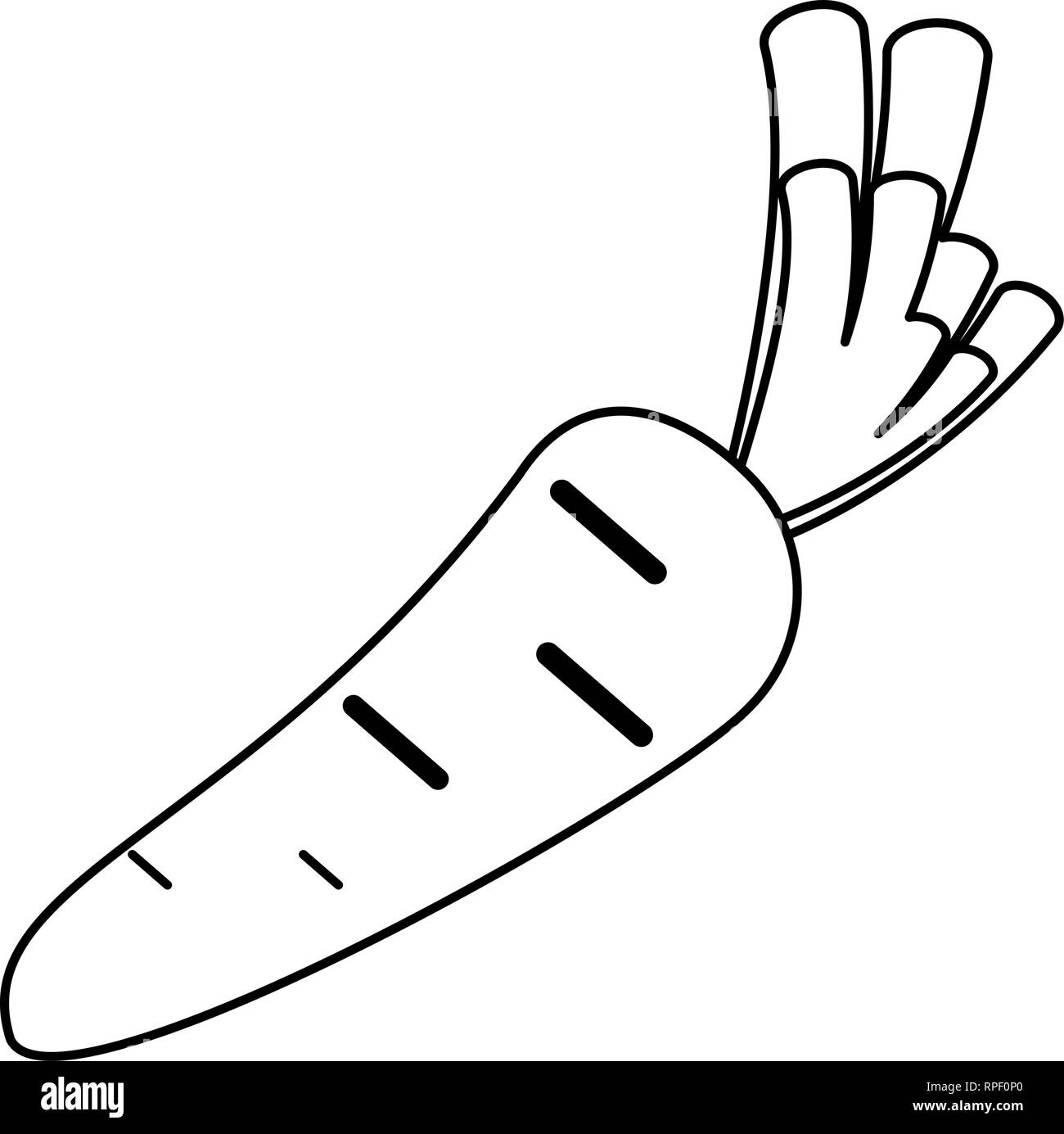 carrot fresh vegetable black and white Stock Vector Image & Art - Alamy