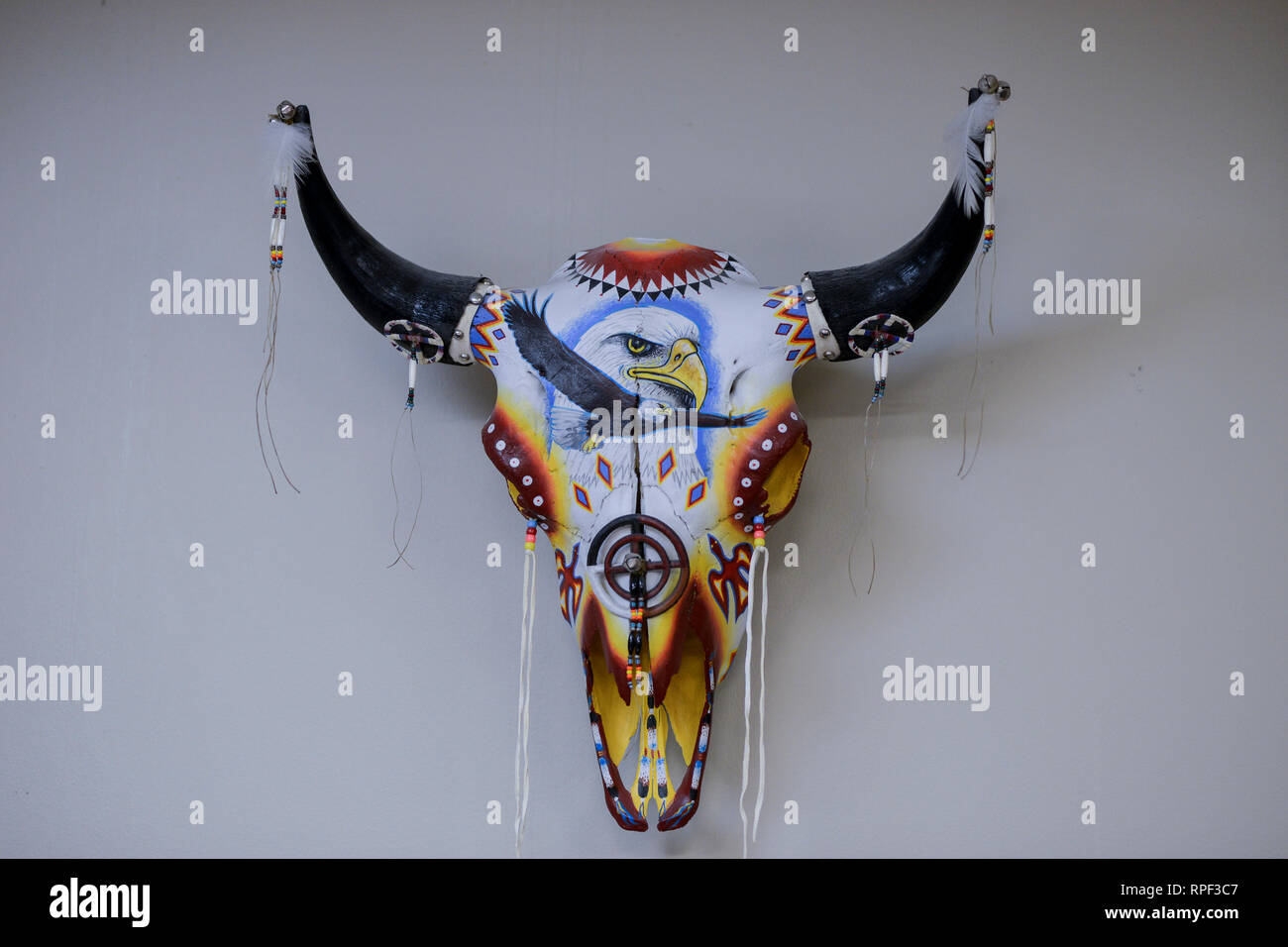 USA, Nebraska, town Macy, Omaha Reservation, buffalo head with