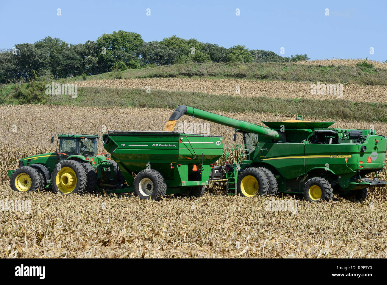 USA, Nebraska, Omaha Reservation, Omaha Nations Farm, corn harvest with