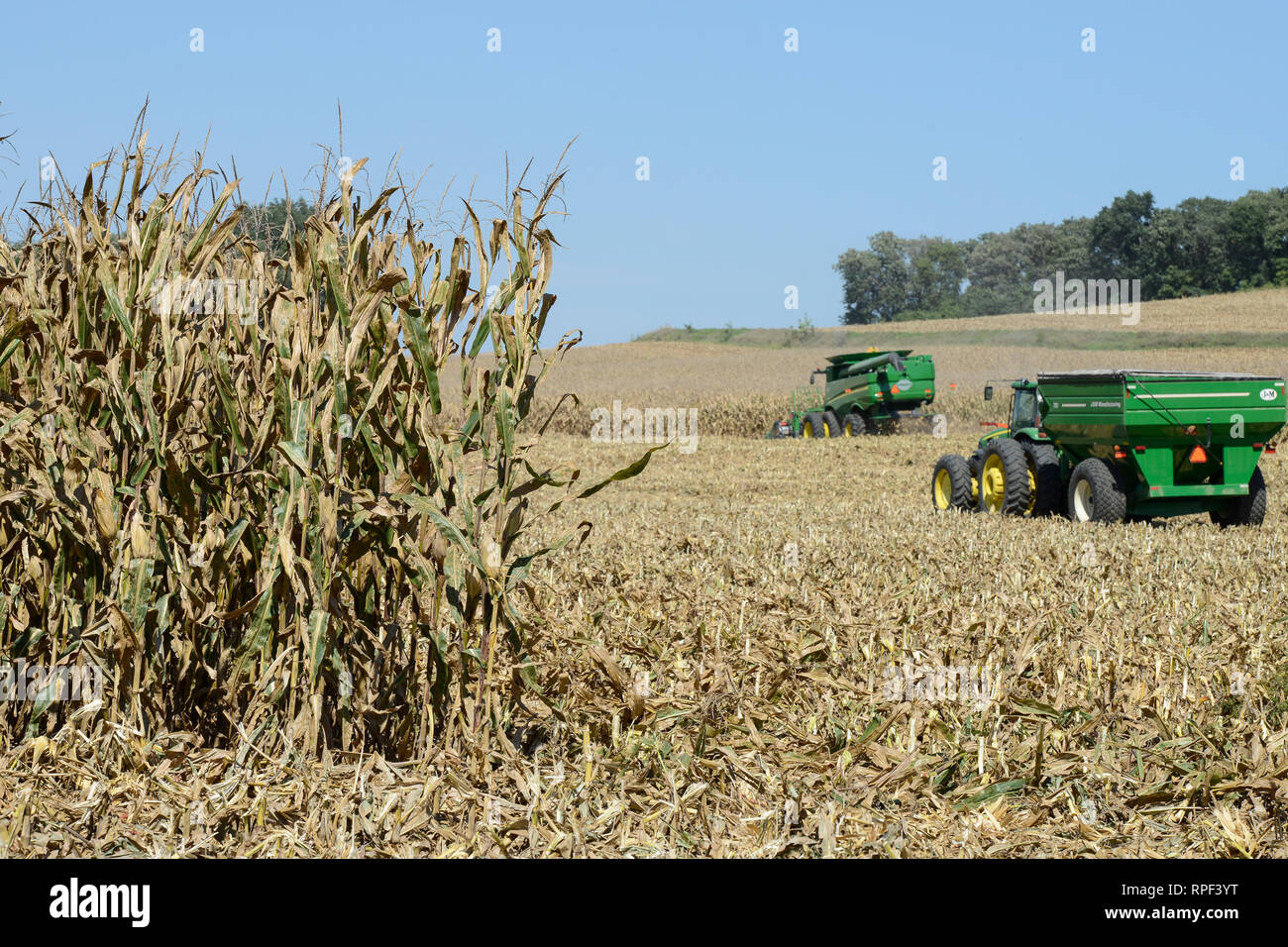 USA, Nebraska, Omaha Reservation, Omaha Nations Farm, corn harvest with
