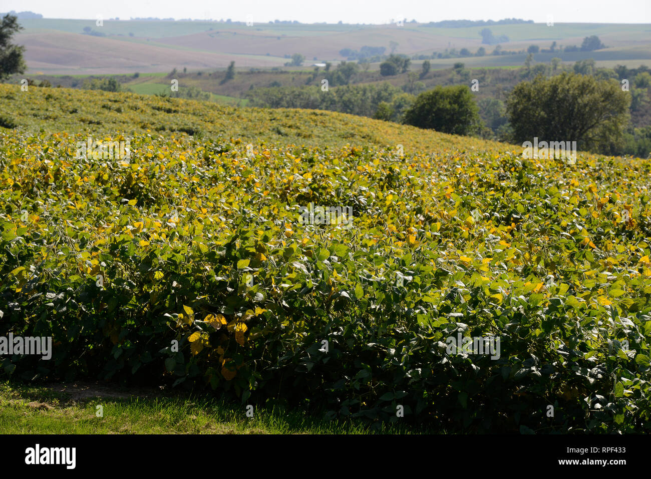 Omaha indian reservation hires stock photography and images Alamy