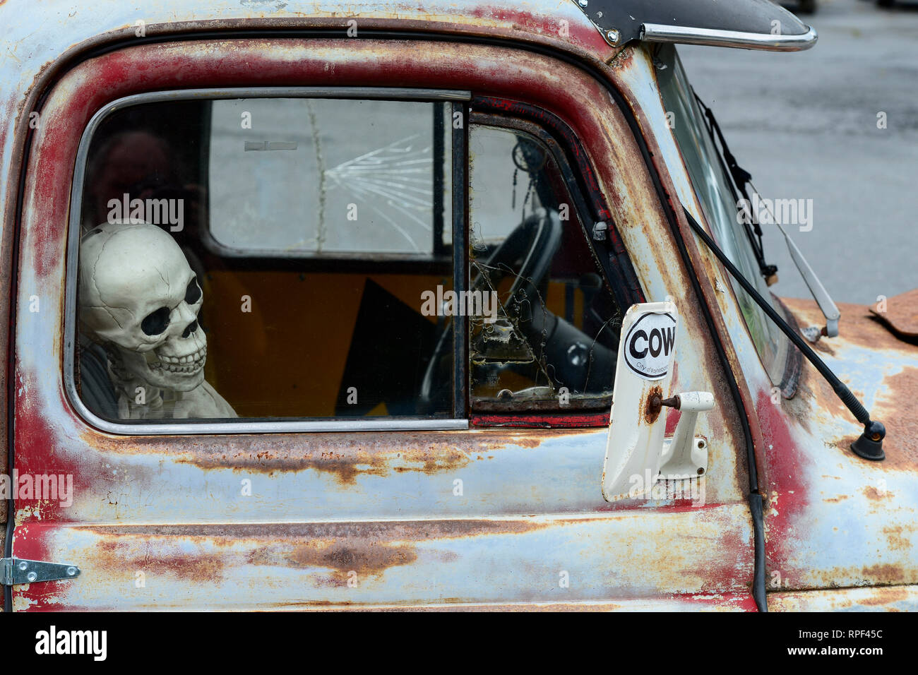 USA, Virginia, Waynesboro, skeleton in classic car Stock Photo