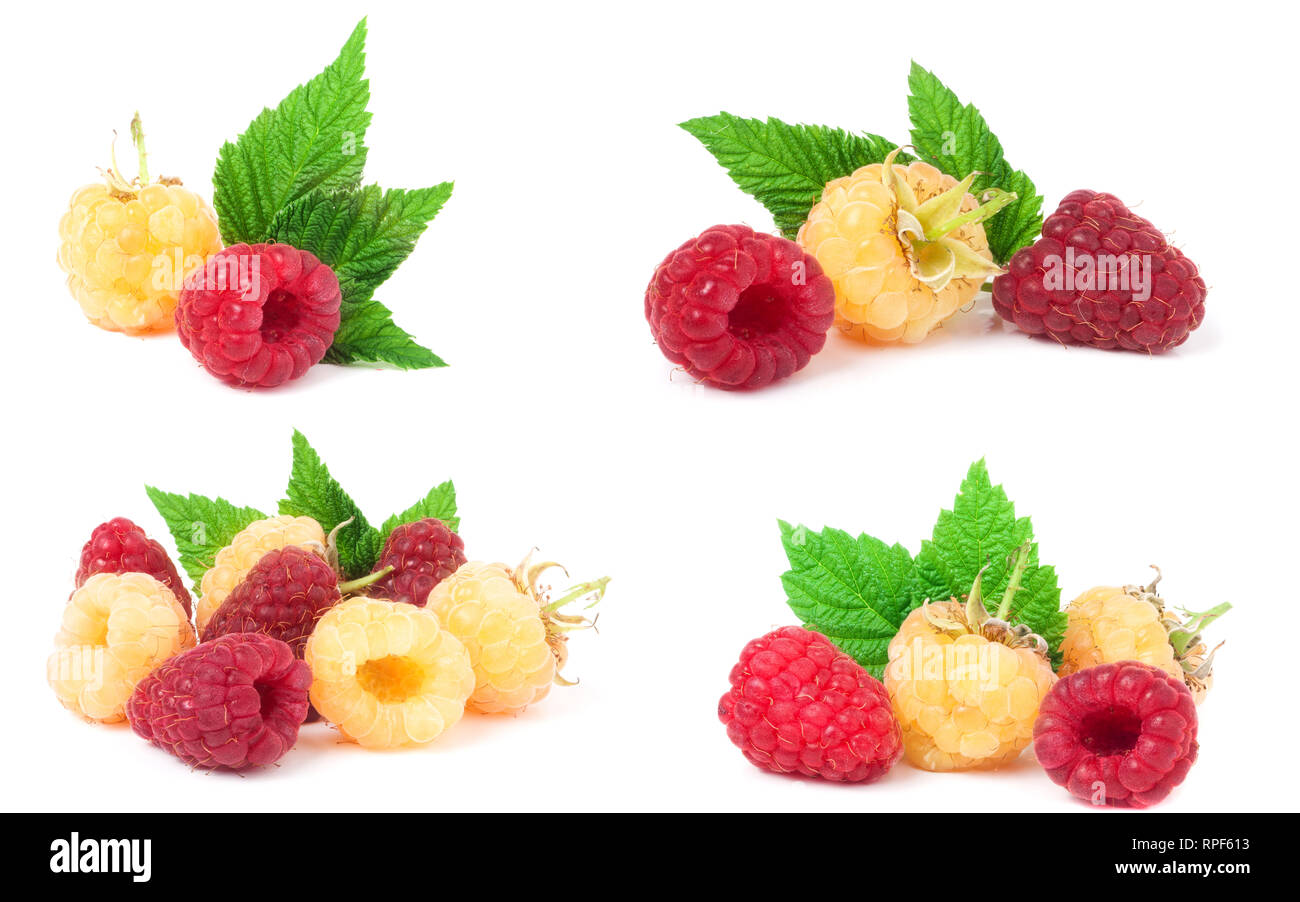 Red Andyellow Raspberry red and yellow raspberries with leaves isolated on white background ...