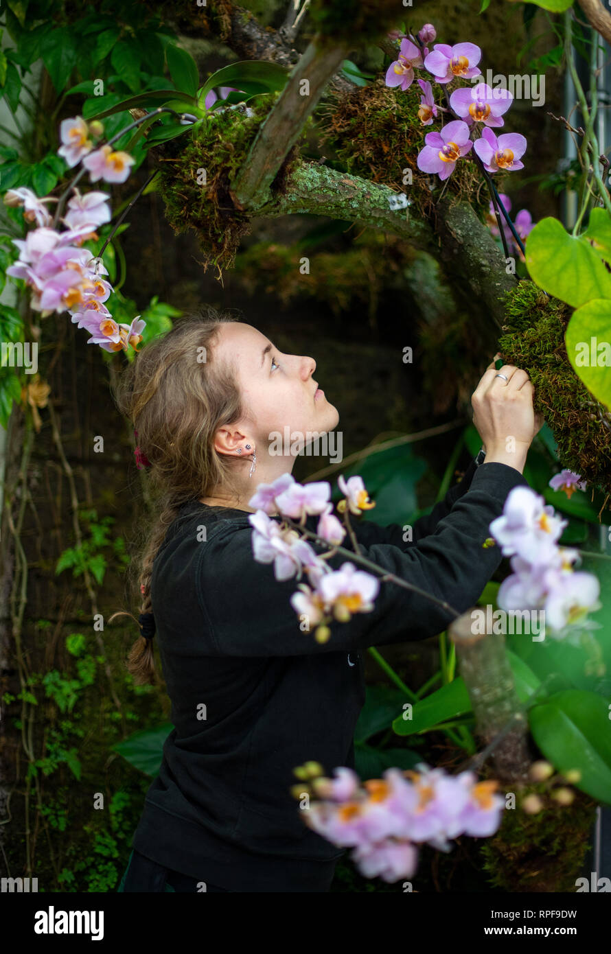 Leipzig, Germany. 21st Feb, 2019. Anna Bech works in the botanical garden on the construction of the orchid show. The show will open on 23 February. Credit: Monika Skolimowska/dpa-Zentralbild/dpa/Alamy Live News Stock Photo