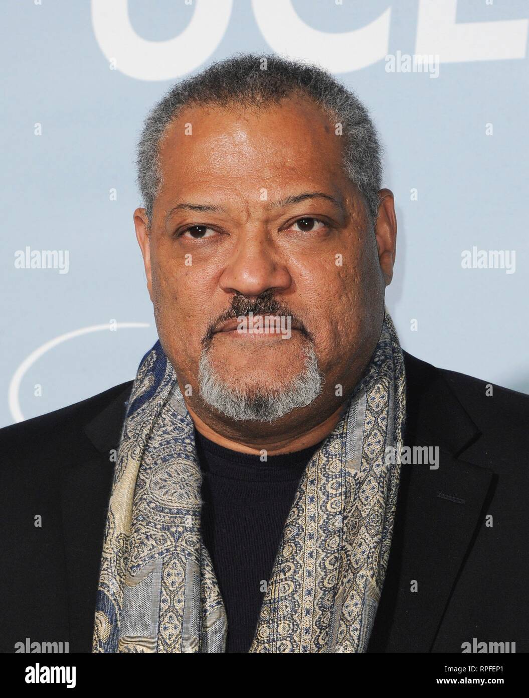 Los Angeles CA USA 21st Feb 2019 Laurence Fishburne At Arrivals Los Angeles Ca Usa 21st Feb 2019 Laurence Fishburne At Arrivals For Ucla Hollywood For Science Gala Private Residence Los Angeles Ca February 21 2019 Credit Elizabeth Live News RPFEP1 