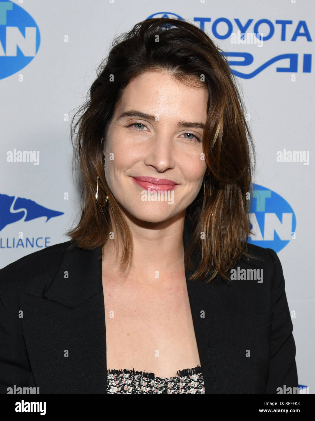 Cobie Smulders Billy Bennight High Resolution Stock Photography and