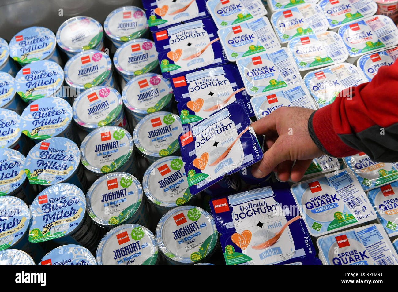 22 February 2019, Berlin: An employee arranges the dairy products in a freezer cabinet at the Penny grocery discounter. Today, the Germany-wide campaign 'Save precious things' was launched, the aim of which is to reduce food waste. The minimum shelf life date is often understood as a disposable date, but many products can be enjoyed for even longer. Photo: Jens Kalaene/dpa Stock Photo