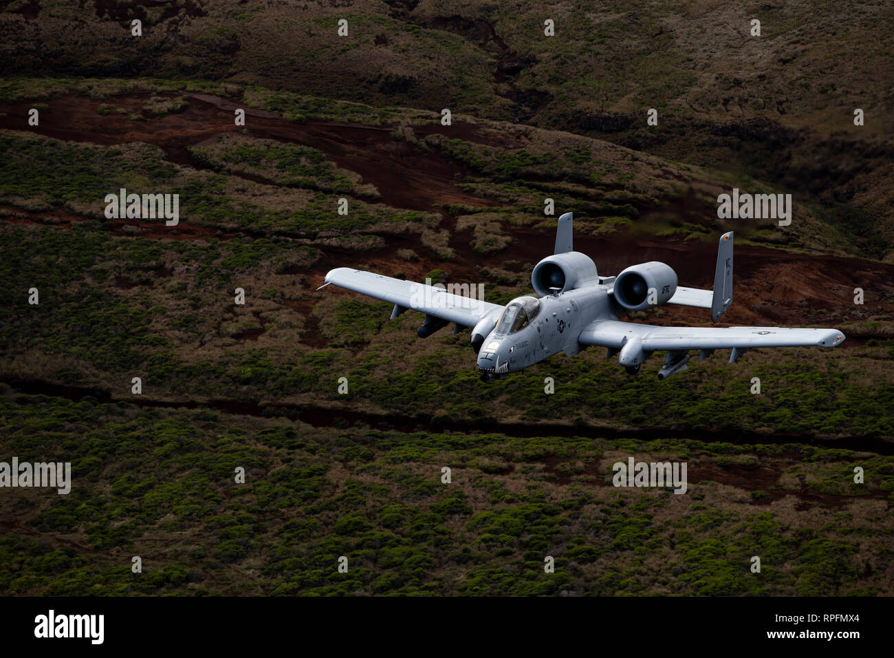 A10 warthog hi-res stock photography and images - Alamy