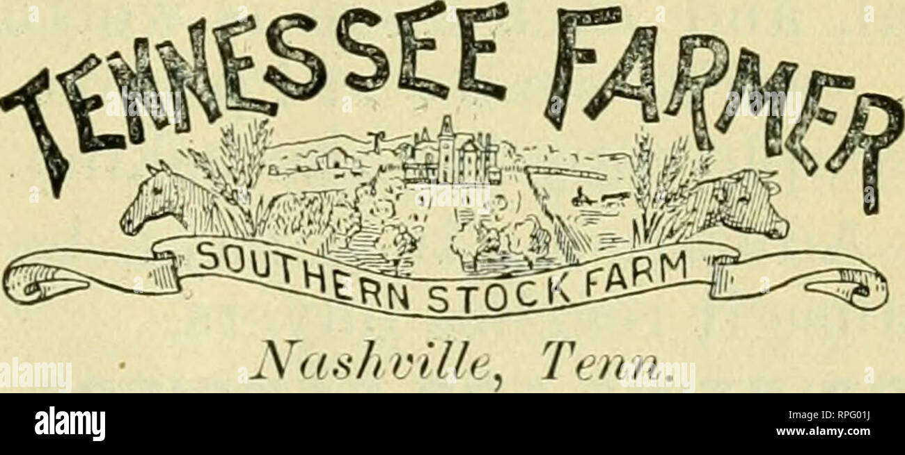 The history and culture of florida tennessee and louisiana florida culture clothing