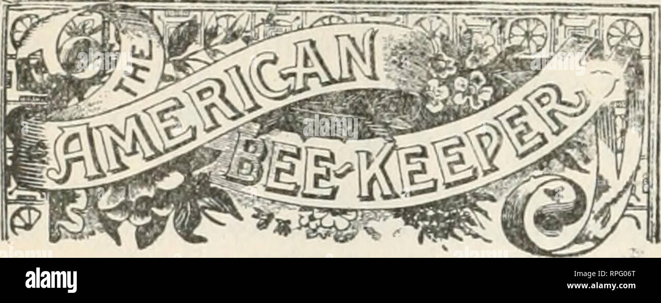 . The American bee keeper. Bee culture; Honey. 168 THE AMERICAN BEE-KEEPER September. PUBLISHED MONTHLY BY THE W. T. FALCONER MANFG. Co. H. E. HILL, - EDITOR. As a candidate for general manager of the National Association, the name of Mr. N. E. France, Plattville, Wis., State Inspector of Apiaries, has come to us from several sources- We doubt if the United States can supply a more capable gentleman to succeed Mr. Se- cor. TERMS Fifty cents a year in advance; 2 copies 8&amp; cents; 3 copies, $1.20; all to be sent to one postoffice. Undoubtedly the largest straw hive, or skep ever made is the o Stock Photo