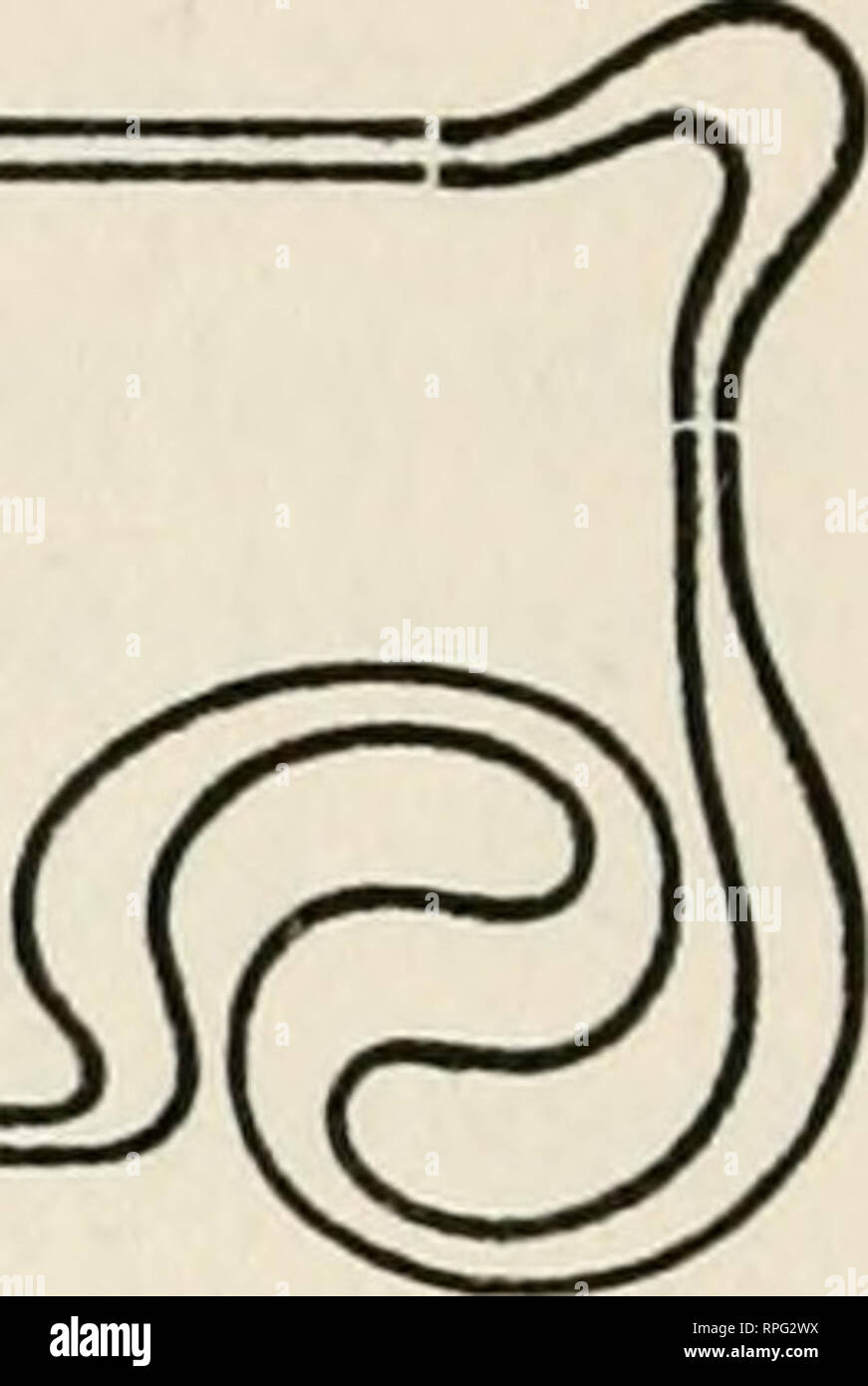 . The American botanist a monthly journal for the plant lover. Plants