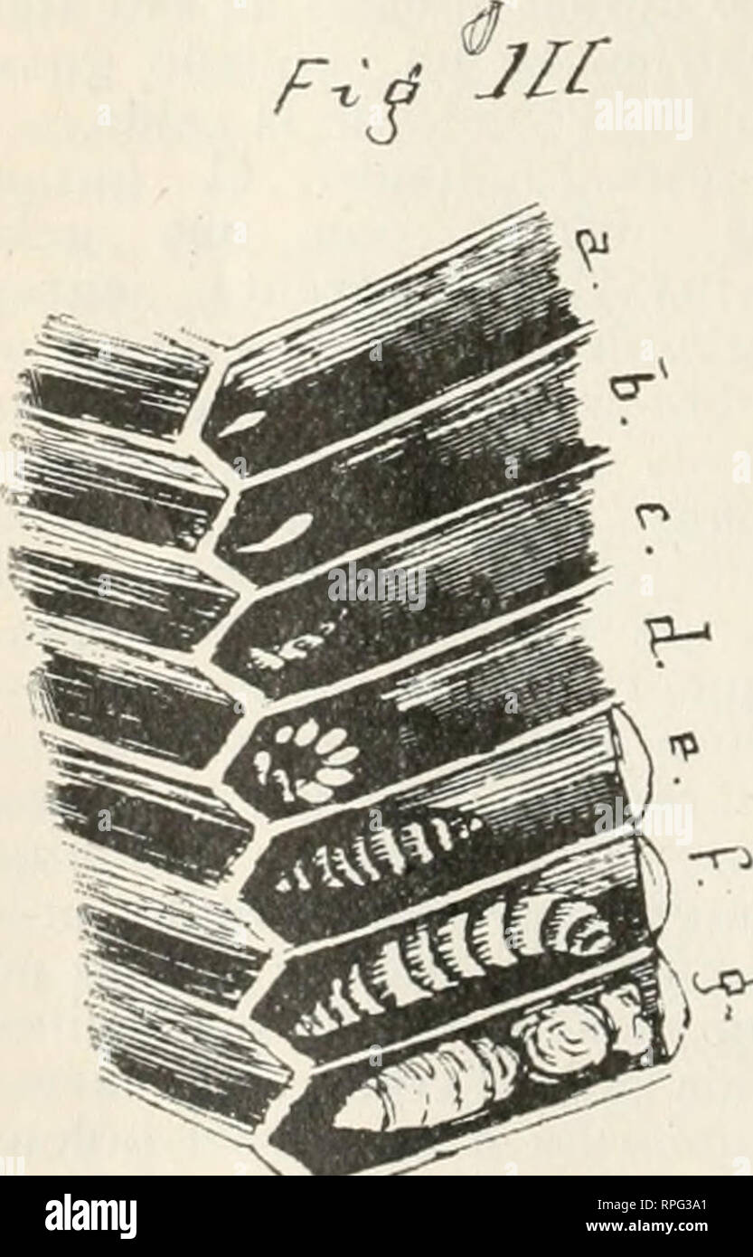 Supen High Resolution Stock Photography And Images Alamy Supen High Resolution Stock Photography And Images Alamy