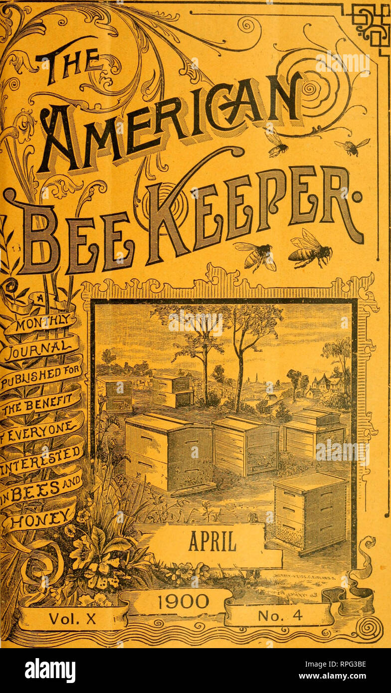 . The American bee keeper. Bee culture; Honey. . Please note that these images are extracted from scanned page images that may have been digitally enhanced for readability - coloration and appearance of these illustrations may not perfectly resemble the original work.. Falconer, N. Y. : W. T. Falconer Manfg. Co. Stock Photo