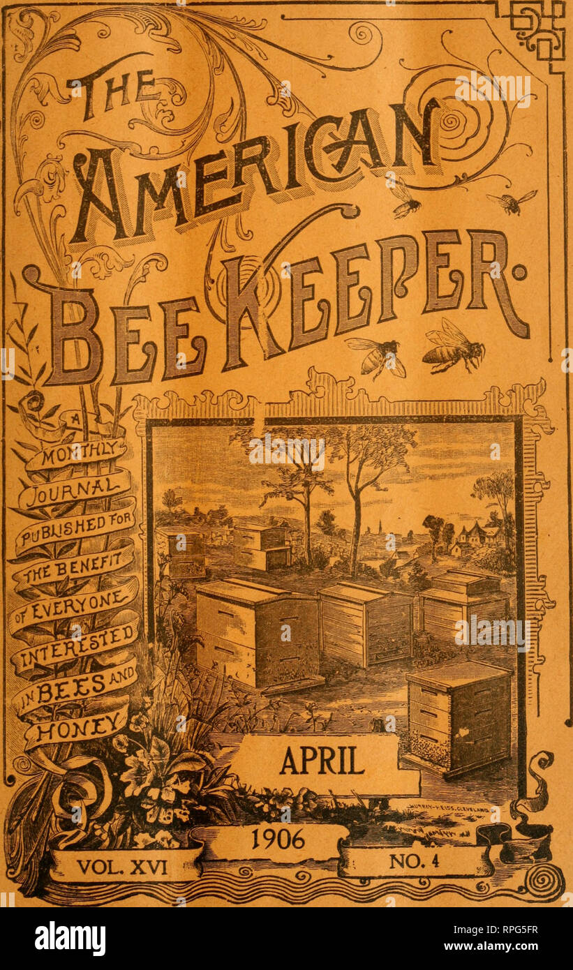. The American bee keeper. Bee culture; Honey. ^. Please note that these images are extracted from scanned page images that may have been digitally enhanced for readability - coloration and appearance of these illustrations may not perfectly resemble the original work.. Falconer, N. Y. : W. T. Falconer Manfg. Co. Stock Photo