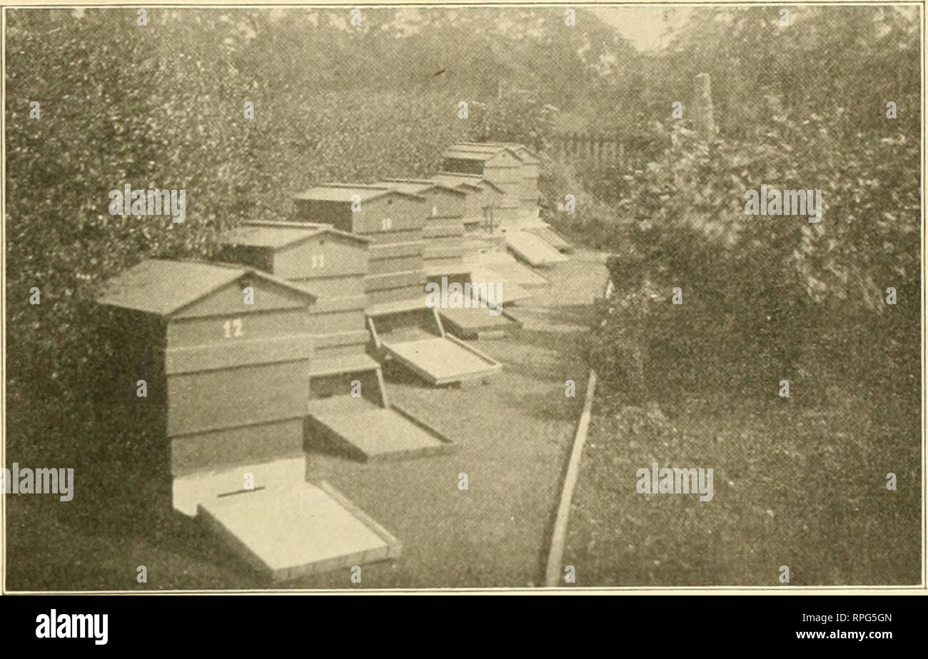 Bee Hives In Woods High Resolution Stock Photography and Images - Alamy