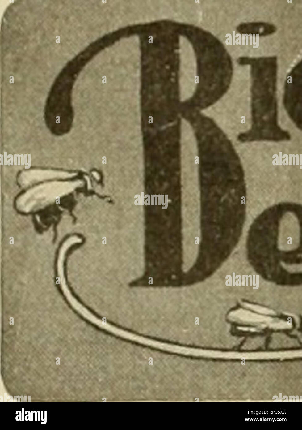 Honey Bees Honey Comb In A Tree High Resolution Stock Photography And Images Alamy