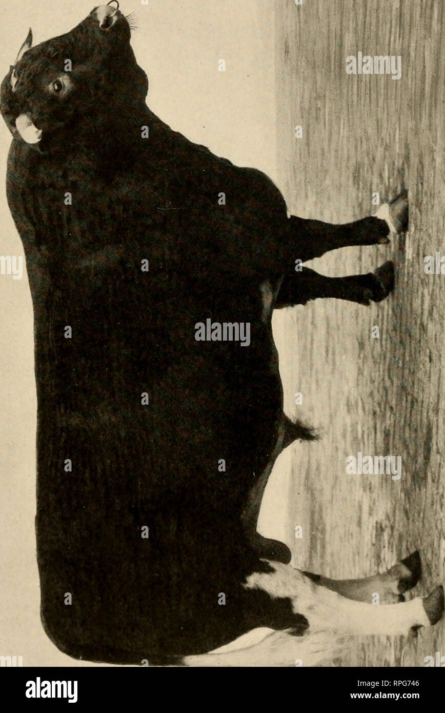 Bb 8 And D O High Resolution Stock Photography And Images Alamy