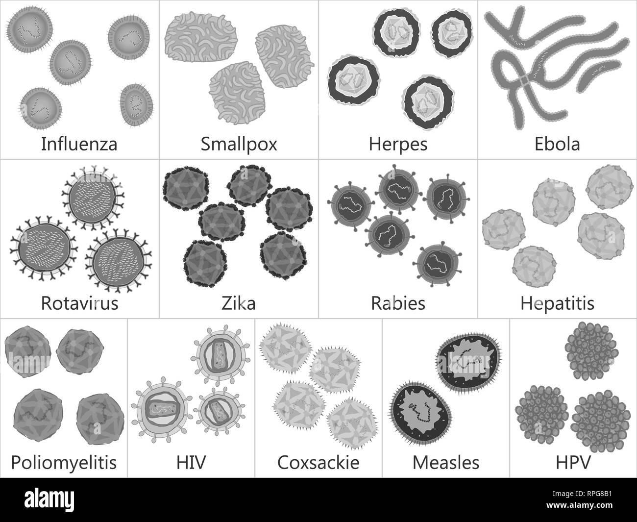 Set of  pathogenic viruses, black and white vector illustration Stock Vector