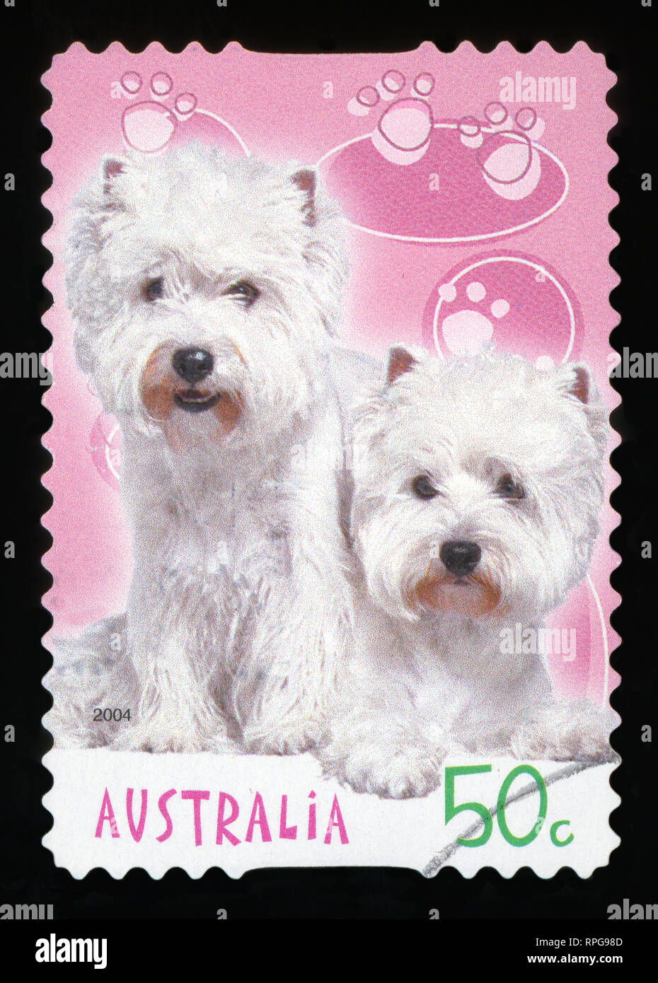 AUSTRALIA - CIRCA 2004: A stamp printed in Australia shows image of two Bichon Frise dogs, series, circa 2004. Stock Photo