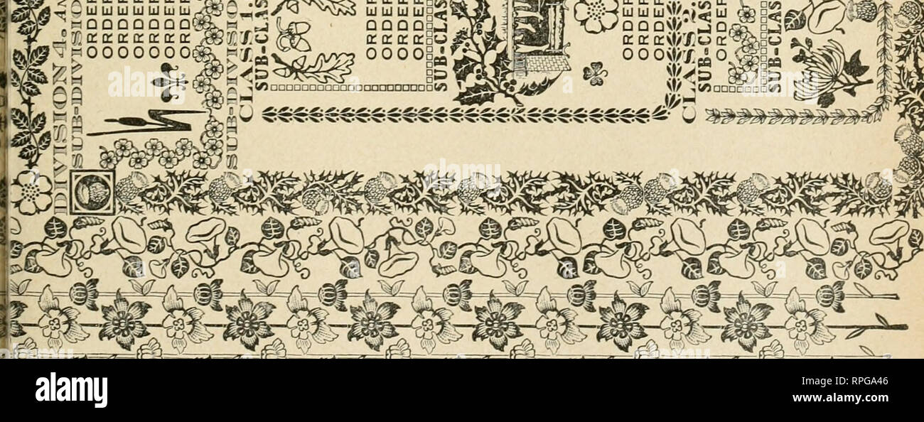 The American Botanist A Monthly Journal For The Plant Lover Plants Plants United States Uok Vujlzzjr 0di Sm Gt 2z Gt Z Lt A Q Lt Lijtij Cqo Gdi Jo M 1 Uj J 2uj 01 A