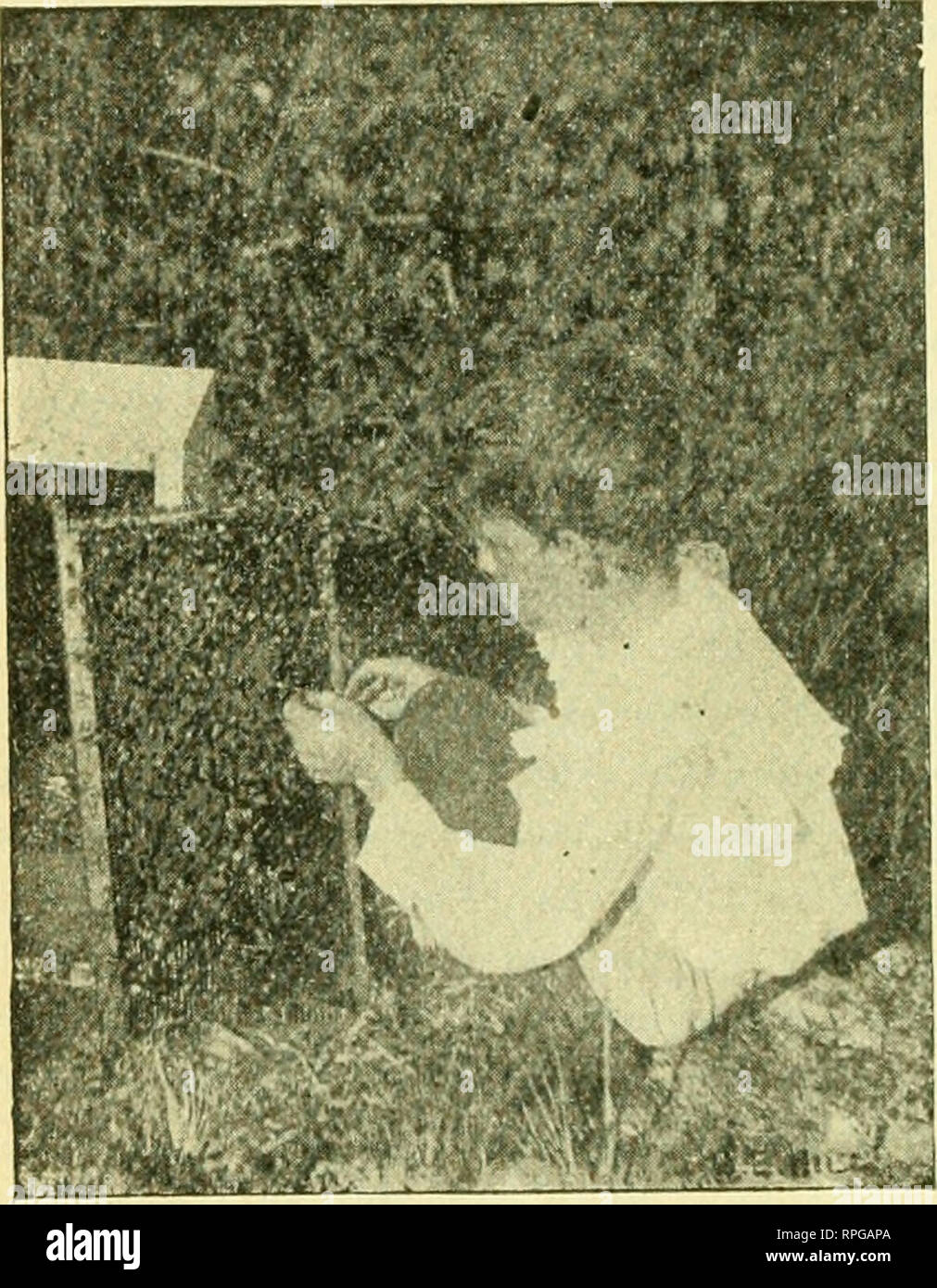 Nor L Stock Photos Nor L Stock Images Page 8 Alamy