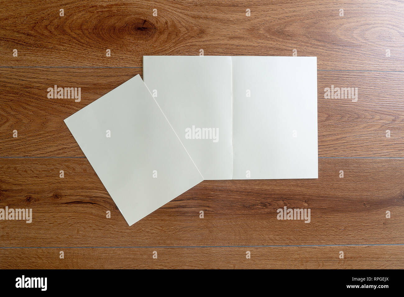 Blank catalog portrait catalog book mock up on wood branding identity