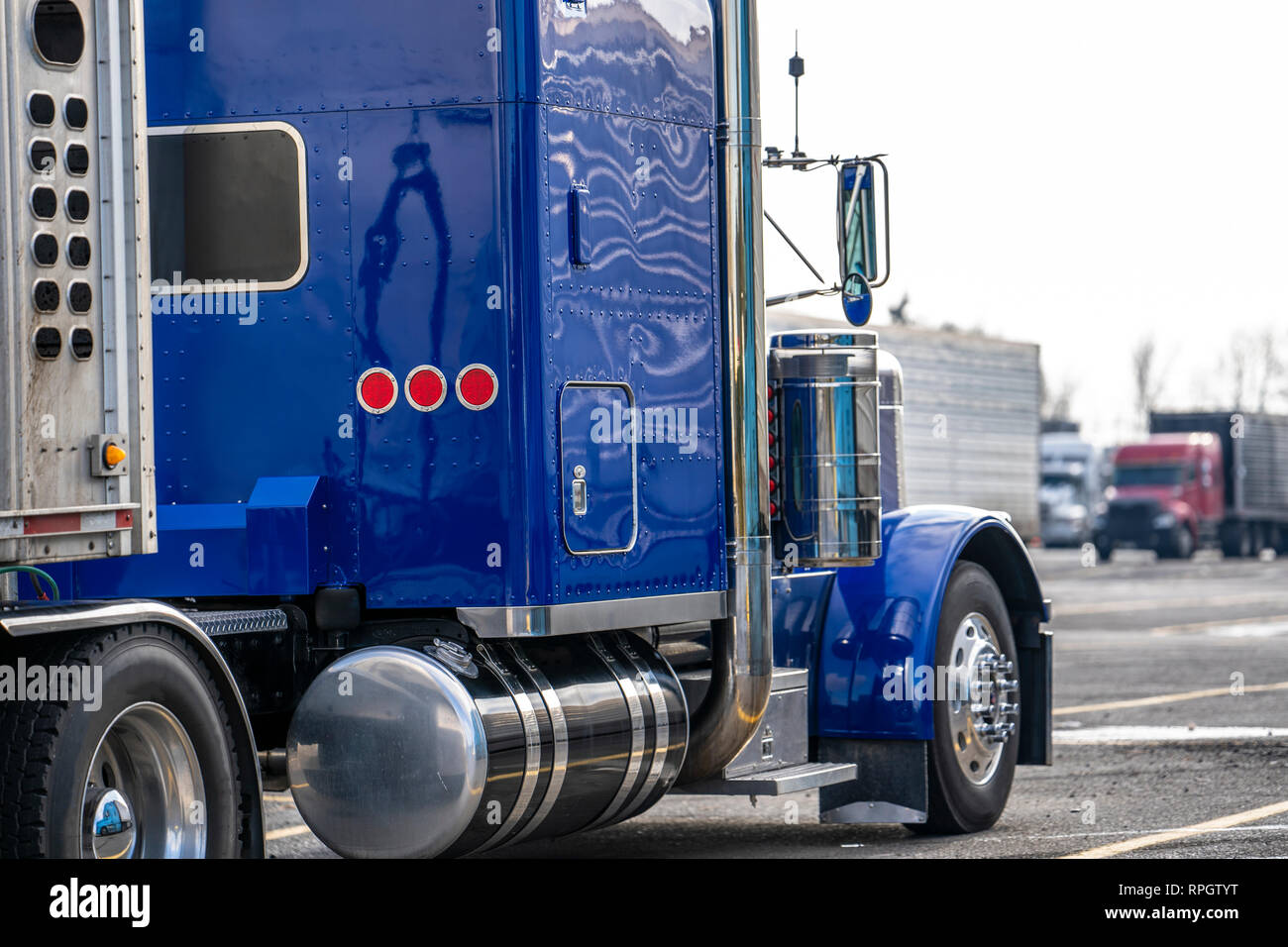 Shiny blue classic bonnet long haul big semi truck with of chrome accessories with semi trailer for transportation of animals standin Stock Photo - Alamy