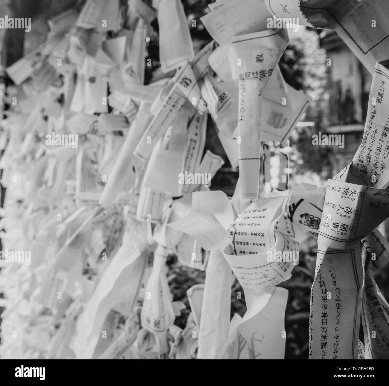 Omikuji Bad Fortune Papers At A Buddhist Temple Or Shinto Shrine Tokyo Japan June 12 18 Stock Photo Alamy Omikuji Bad Fortune Papers At A Buddhist Temple Or Shinto Shrine Tokyo Japan June 12 18 Stock Photo Alamy