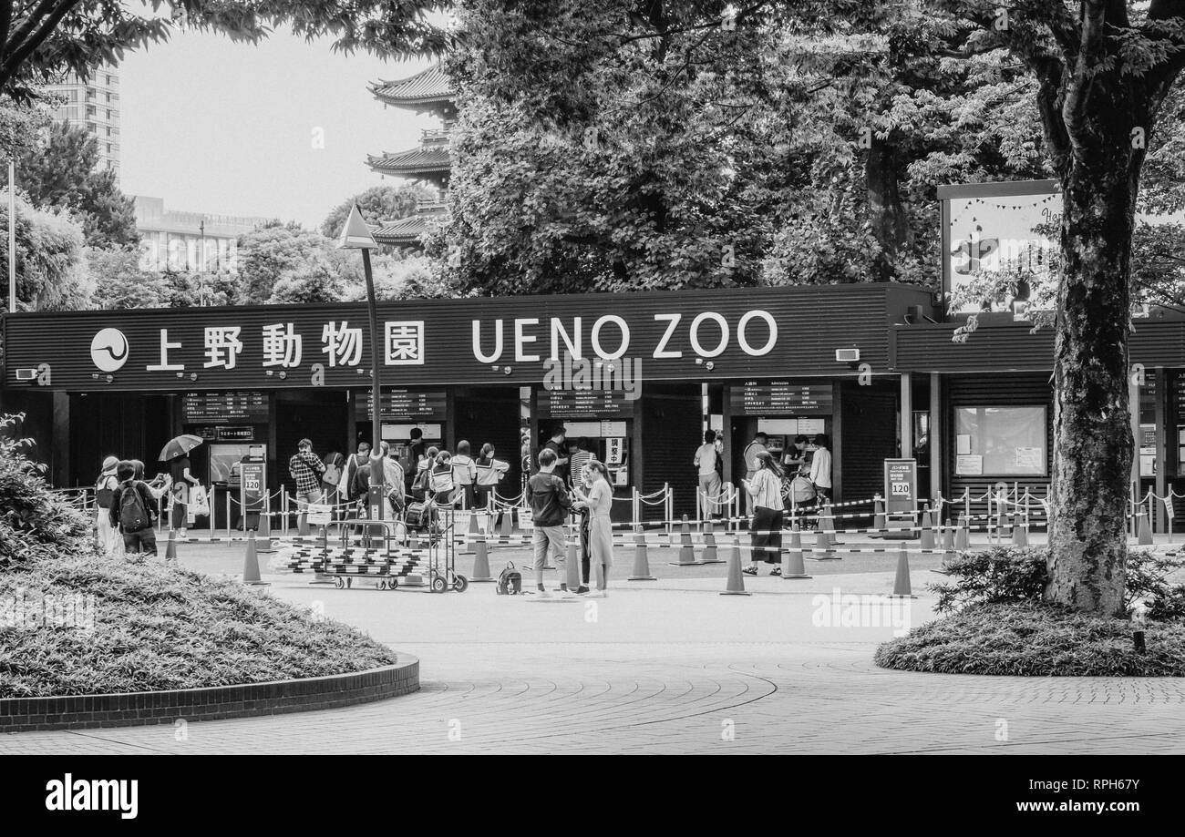 Famous Ueno Zoo in the city of Tokyo TOKYO / JAPAN JUNE 12, 2018