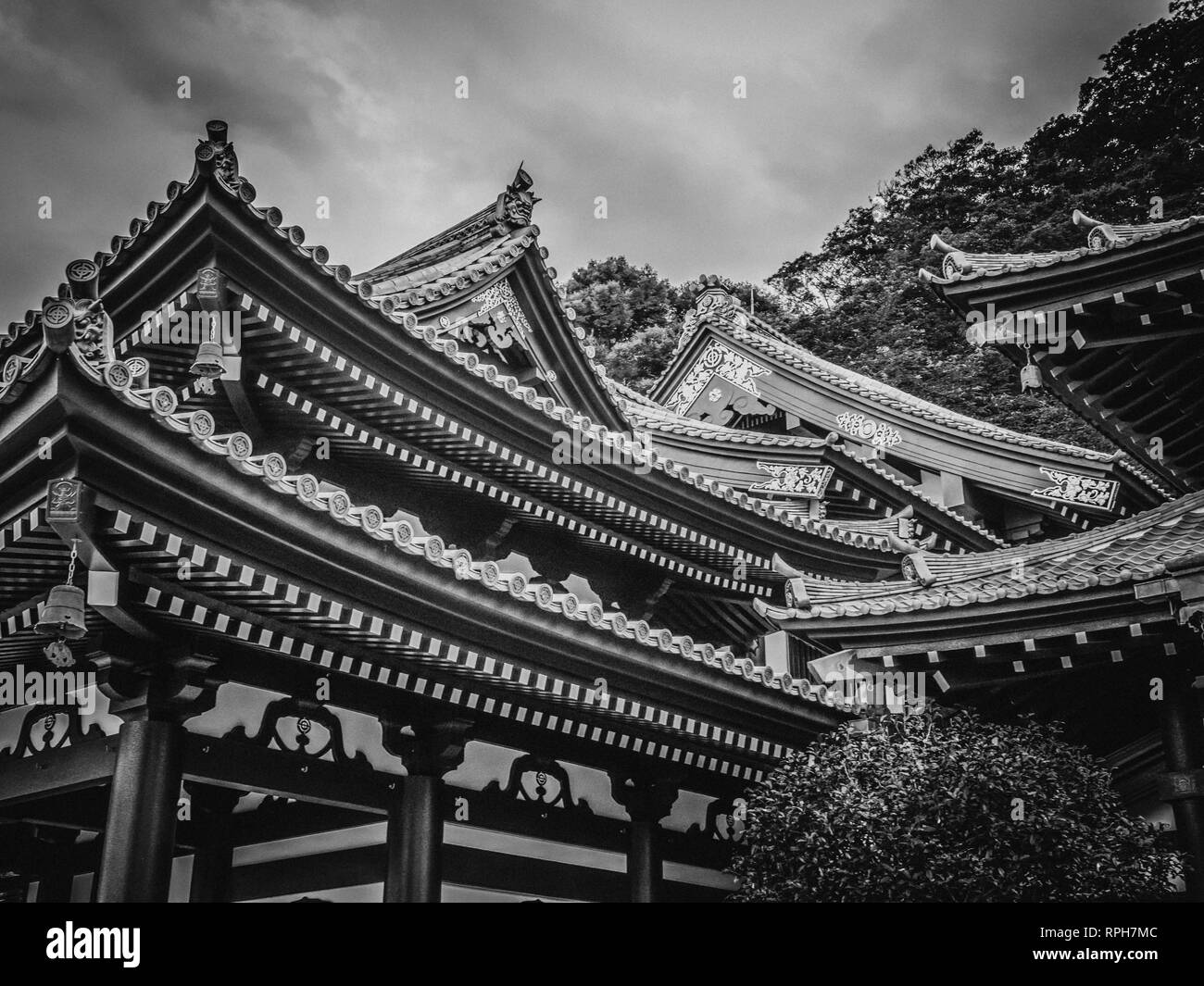 Beautiful roofs of HaseDera Temple in Kamakura TOKYO / JAPAN JUNE